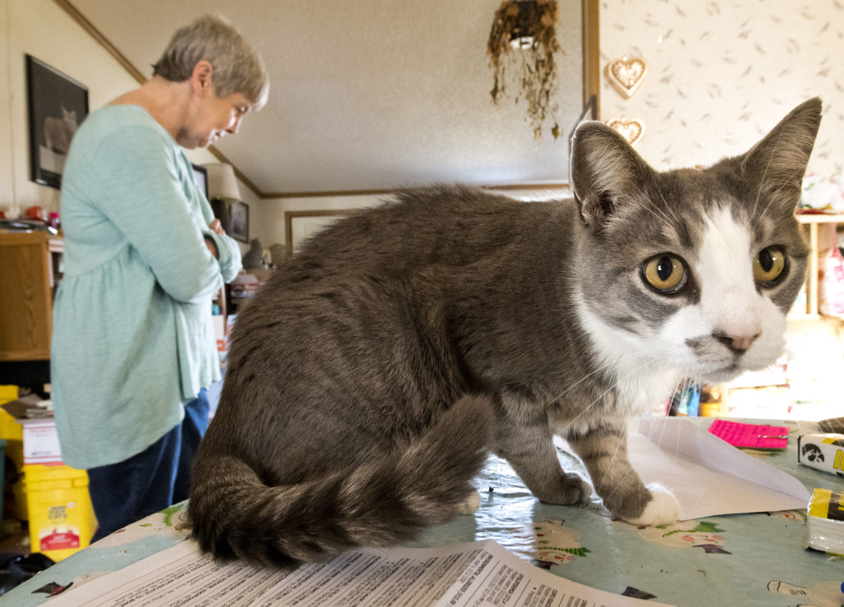 Declining health and pets